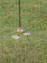40 ANTENNA 40 METRI.jpg
